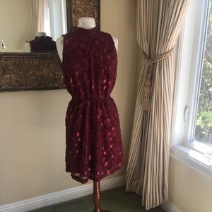 Burgundy Anthropologie dress